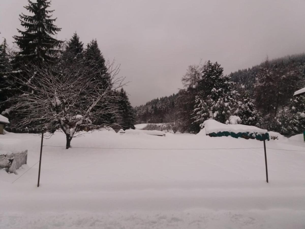Appartamento Cologna Castelfondo Εξωτερικό φωτογραφία